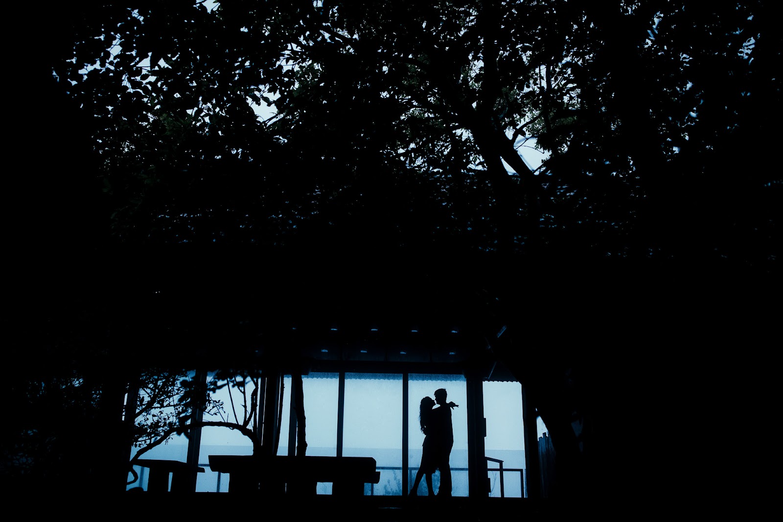 Ritesh Dhruva Golden Hour Pre-Wedding Portrait